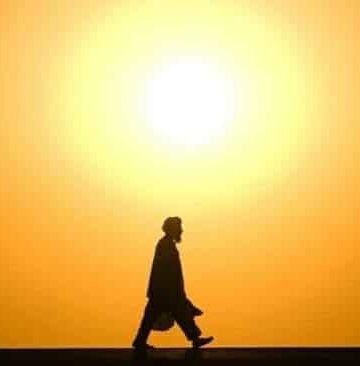 Team Members 12 farhat Team Members