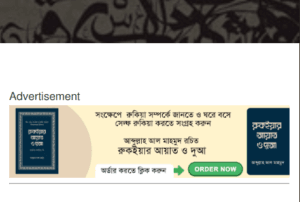 বিজ্ঞাপন দিতে যোগাযোগ করুন 7 Screenshot 2025 02 11 133009 e1739259911156 বিজ্ঞাপন দিতে যোগাযোগ করুন